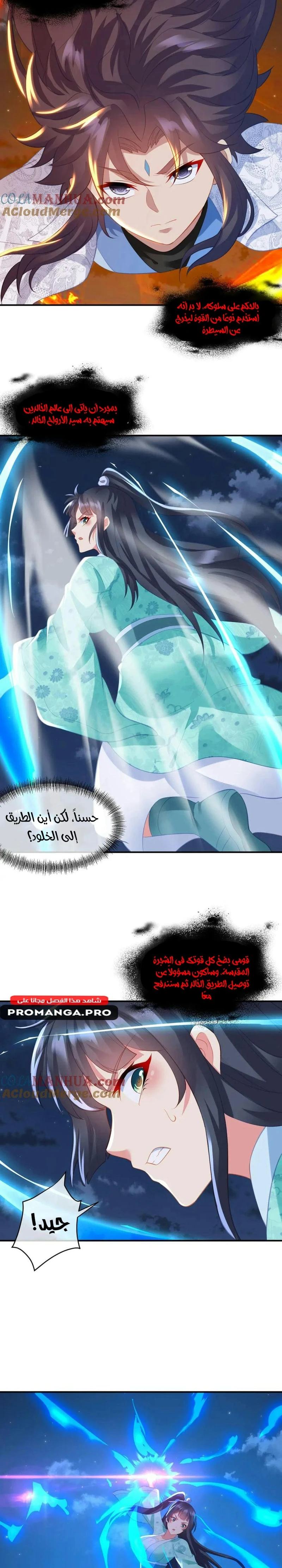 Chapter Image 6